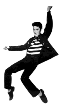 gif of elvis young in black and white on a white background. the image is twitching up and down